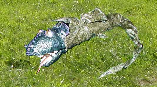 Der Ersatz: Ein Fairy-Dragon