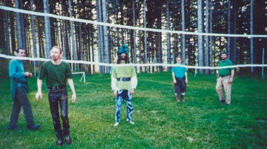 Fairy-Volleyball