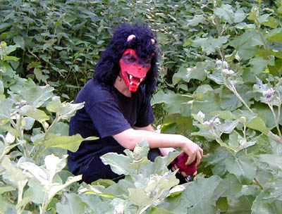 Teufelchen